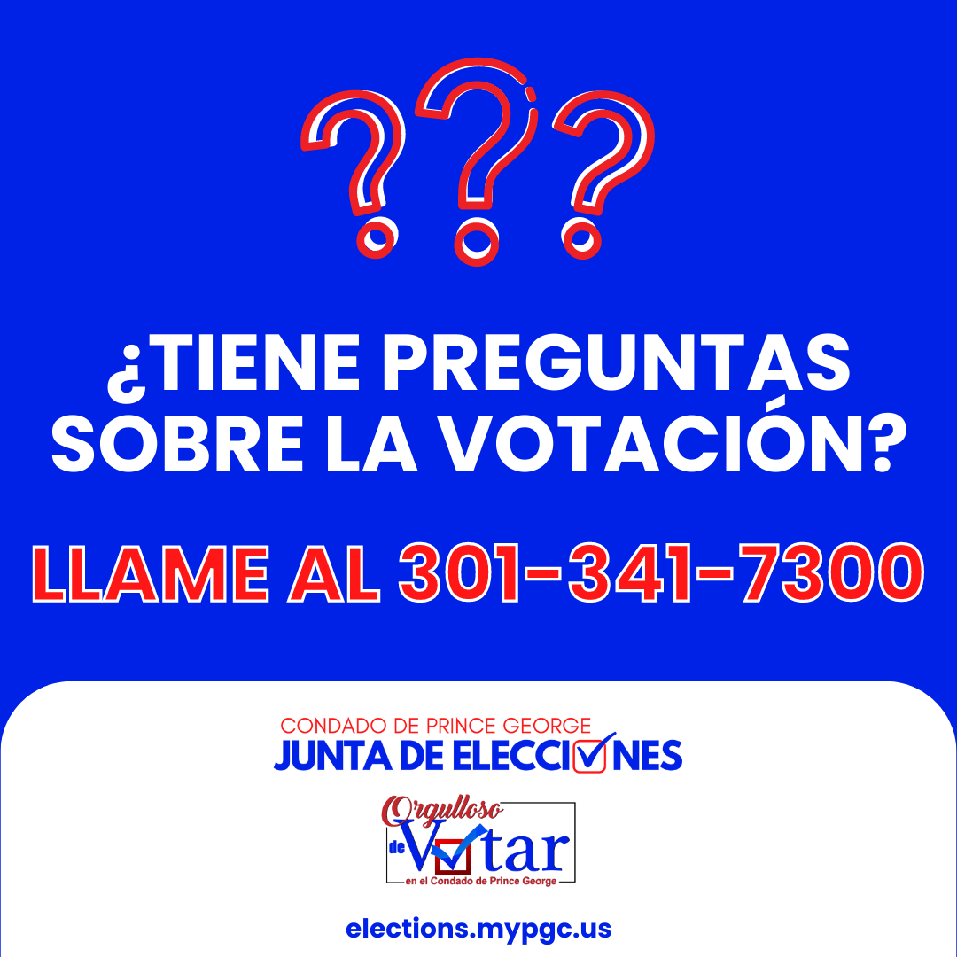 Questions About Voting Spanish
